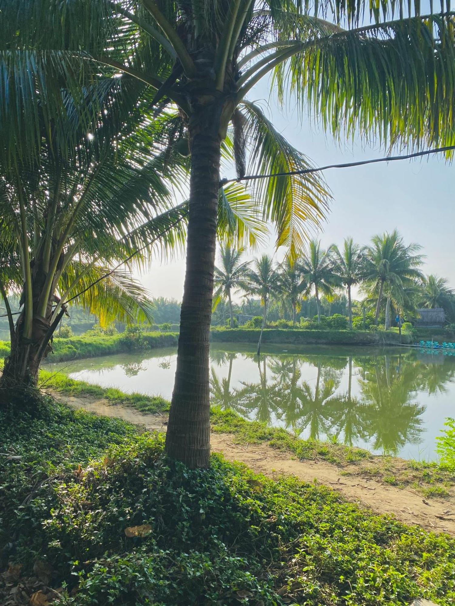 Laoxao Lakeview Homestay Hội An Extérieur photo