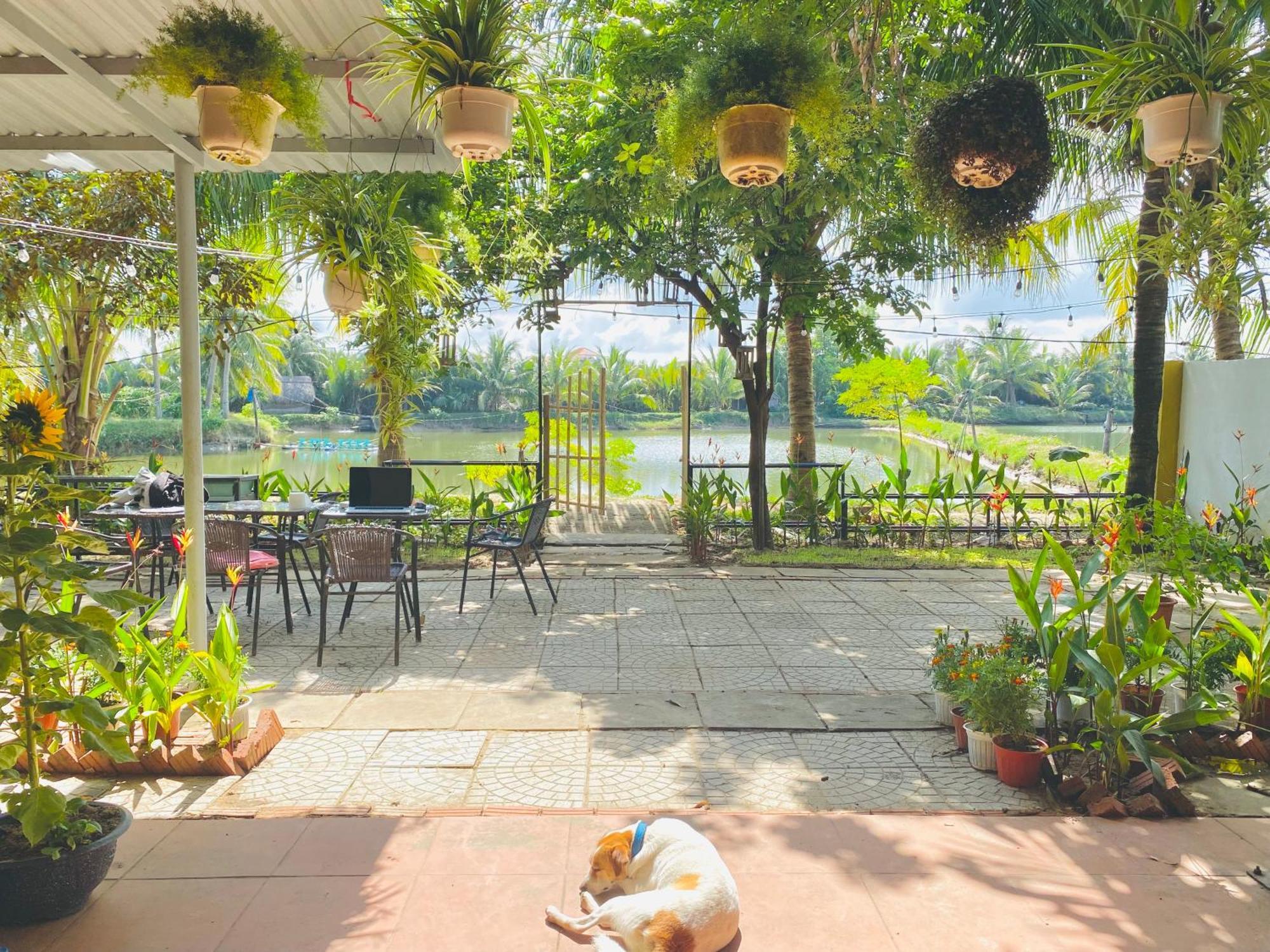Laoxao Lakeview Homestay Hội An Extérieur photo